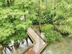 -云溪植物园