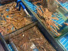 -望海湾鱼头泡饼·天津菜(空港店)