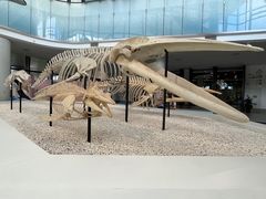 -中国（海南）南海博物馆