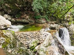 -牛背梁国家森林公园