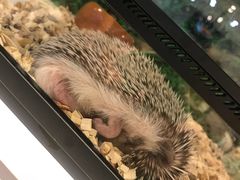 -狗道宠物(常熟印象城店)