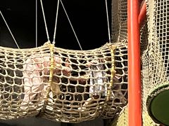 -珠海横琴国家地理探险家中心(创新方)