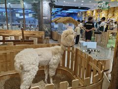 -万达广场(黄冈武穴店)