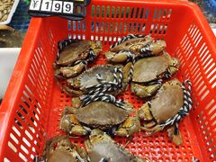 -峙山海鲜馆·花苑店