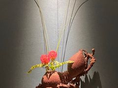 -觀芷隐轩·宋宴(河坊街店)