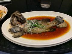 豉油清蒸老虎斑-恰恰餐厅(硕和生活广场店)