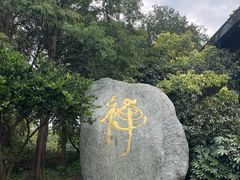 -太极禅苑