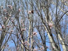 -长春公园(普阳街道)