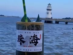 -野狸岛