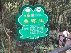 -呀诺达热带雨林