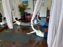 点击看大图 -Yvon yoga 瑜伽·精准体态管理中心