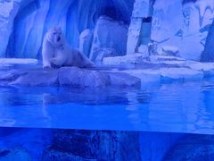 -上海海昌海洋公园