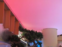 -桂满陇·蟹黄小笼汤包(中山公园店)