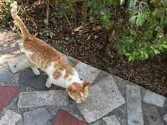 -光明农场大观园