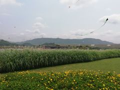 -光明小镇欢乐田园