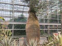 -南山植物园