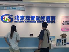 -北京观赏动物医院·24小时大型综合·猫专科·异宠专科