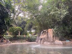 -天赐温泉