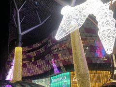 -爱雍·乌节