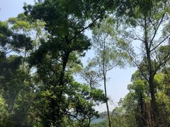 -火炉山森林公园
