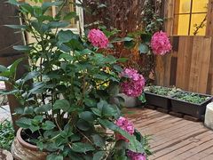 -宅里香.自然餐厅(湘大店)