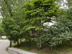 -北极寺公园