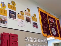 -格蕾宠物医院24H·猫科·肿瘤科·骨科中心(福州总院)
