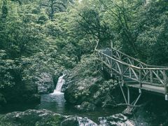-龙苍沟森林公园