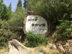 -白水寺森林公园
