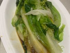 油麦菜-国人川菜(李家村建东街店)