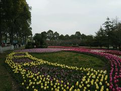 -上海鲜花港