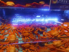 -驻海渔市(置信店)