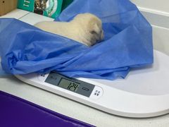 -美联众合动物医院·24h京西诊疗中心