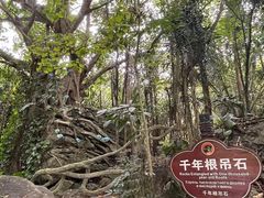 -呀诺达热带雨林
