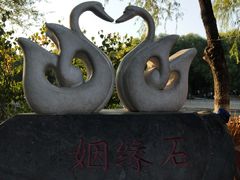 -石家庄市动物园