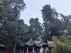 -玉泉观