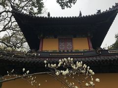 -普陀山风景名胜区-法雨禅寺