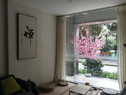 -榕树上·瑜伽普拉提