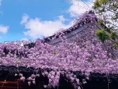 -老门东历史文化街区