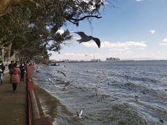 -滇池海埂公园