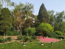 点击看大图 -北京新世纪儿童医院