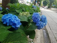 -大洋晶典(东街店)