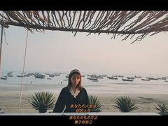 -硇洲岛旅游区