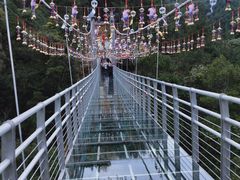 -九龙江国家森林公园