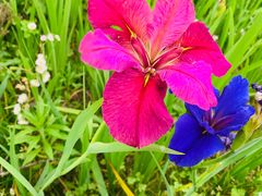 -上海佘山国家森林公园西佘山园