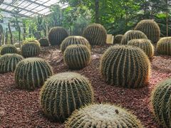 -呀路古热带植物园