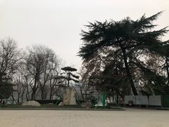 -莲湖公园