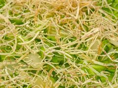 捞起凉瓜刺身-飞尝蚝·顺德菜·鱼生(顺德总店)