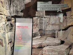 -上海动漫博物馆