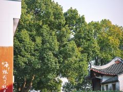 -丝绸小镇荻港古村